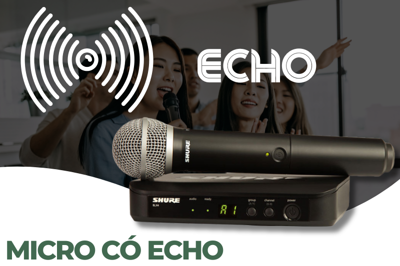 1 micro co echo