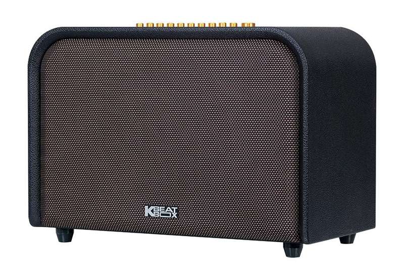10 loa keo bass 25 acnos acoustic 3