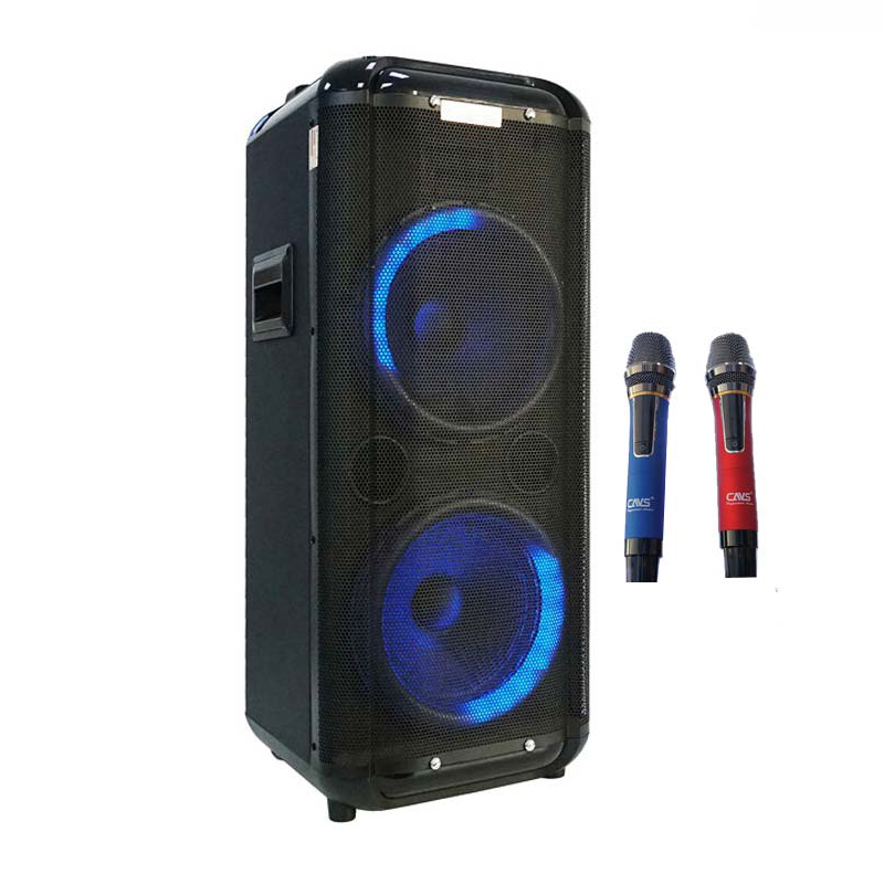 11 loa keo bass 25 cavs k210