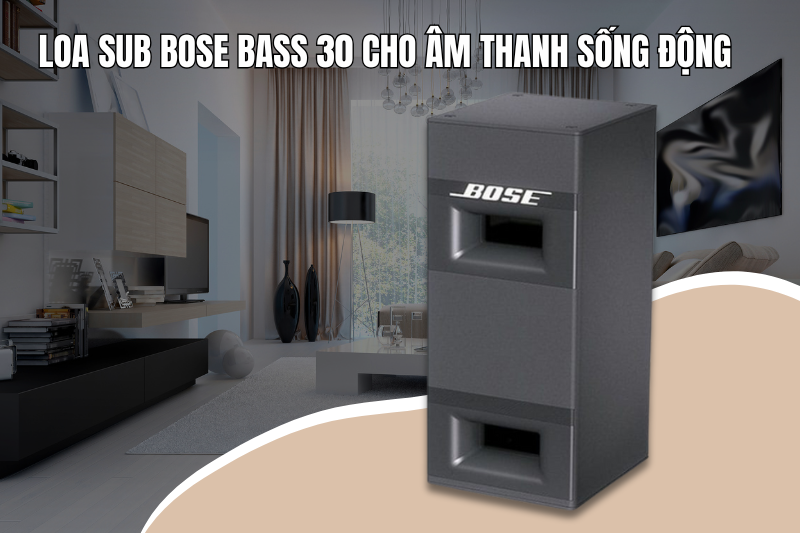 2 loa sub bos bass 30 cho am thanh song dong 2