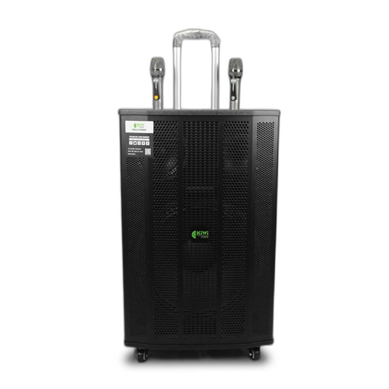 5 loa keo 800w kiwi