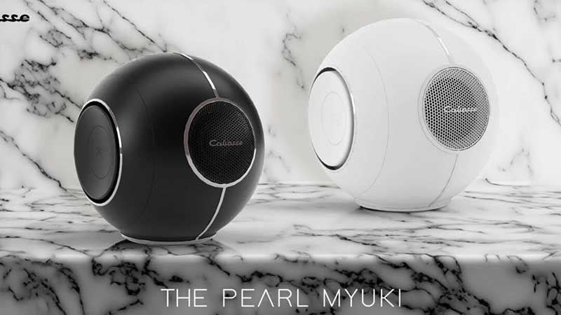 TOP 9 loa Pháp chất lượng, cho âm thanh hay nhất 4 5 loa phap cabasse the pearl myuki