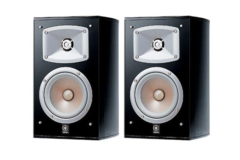 5 loa yamaha bass 25 ns 333