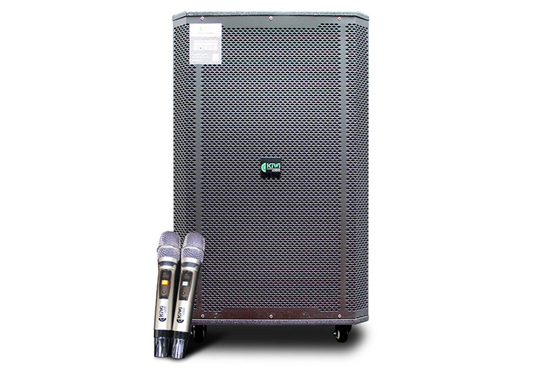Top 7 loa bán hàng rong chất lượng nhất, giá tốt nhất 5 7 loa ban hang rong kiwi k9018