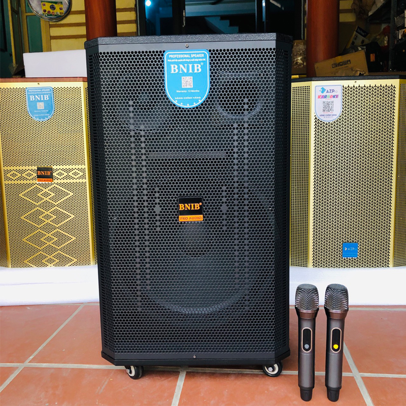 8 loa keo bnib bass 40 2583