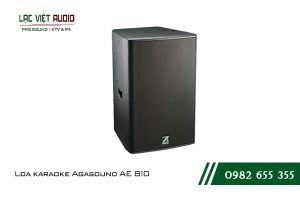 Giới thiệu về sản phẩm Loa karaoke Agasound AE 810  