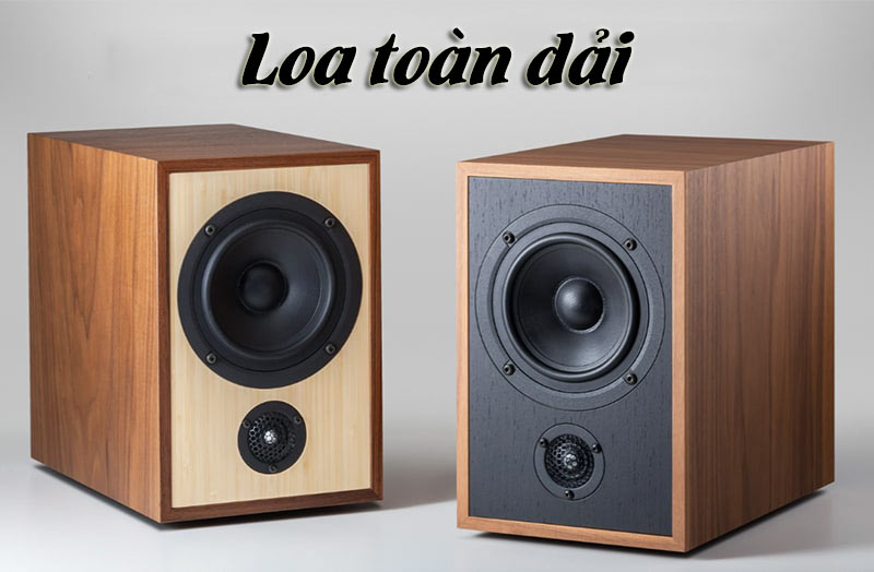 Cấu tạo chỉ với một thùng loa duy nhất và chứa củ loa đặc biệt Cấu tạo chỉ với một thùng loa duy nhất và chứa củ loa đặc biệt