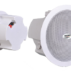 loa am tran dong truc pedro cu8 50gr