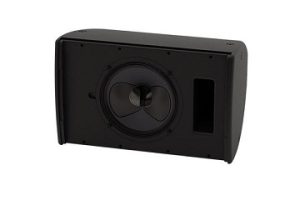 Loa Martin CDD10