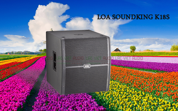 Loa Soundking K18S