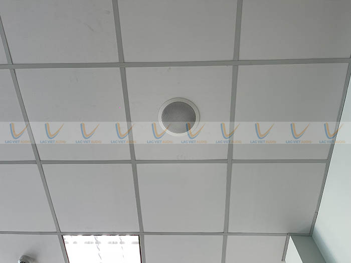 luu ban nhap tu dong 22654 3
